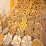 Vraj-Yatra-2014- (2871)